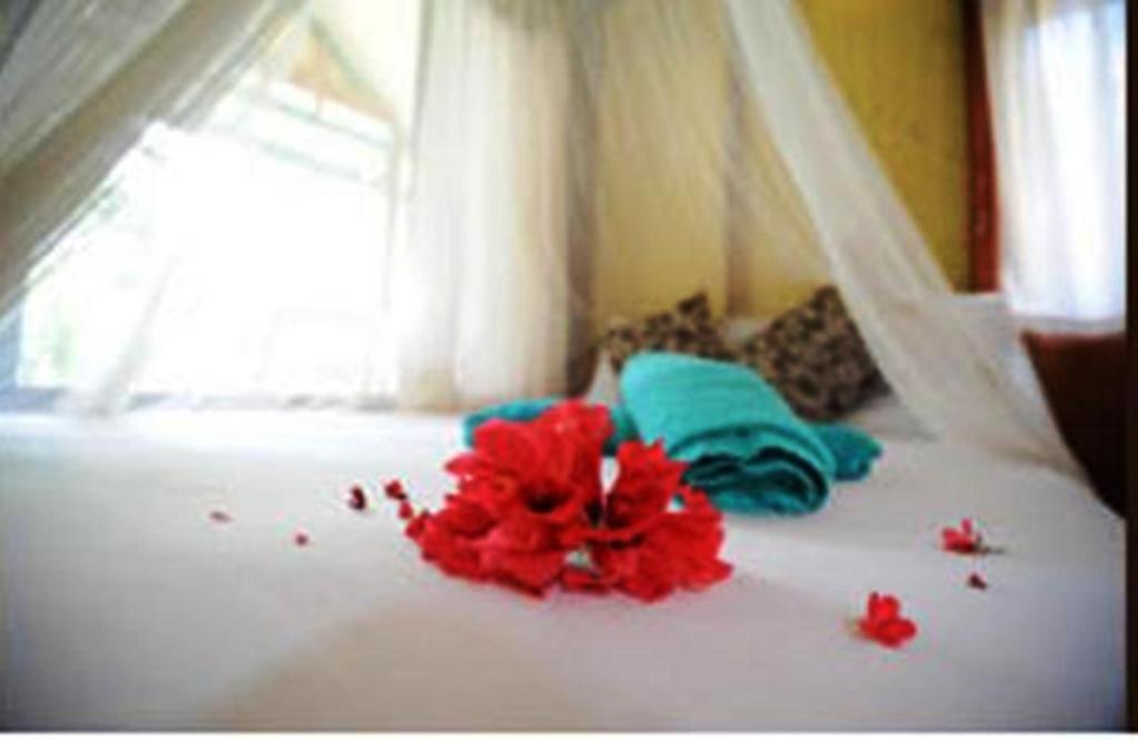 Smile Bungalow Bottle Beach Chambre photo